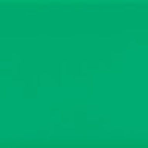 Meet your Posher, Carlos